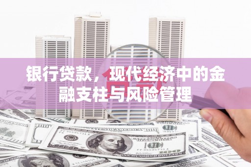 盐津银行贷款，现代经济中的金融支柱与风险管理