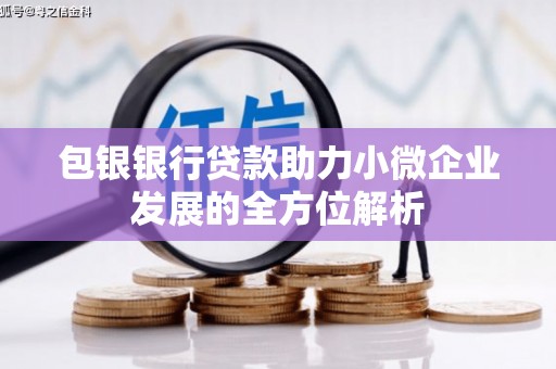 盐津包银银行贷款助力小微企业发展的全方位解析