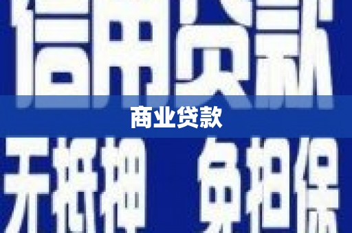 盐津商业贷款