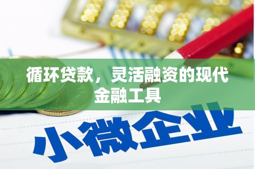 盐津循环贷款，灵活融资的现代金融工具