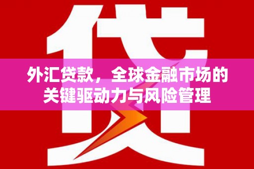 盐津外汇贷款，全球金融市场的关键驱动力与风险管理