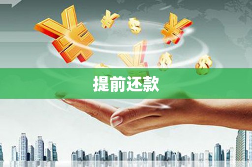 盐津提前还款