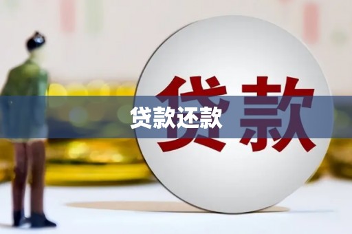 盐津贷款还款
