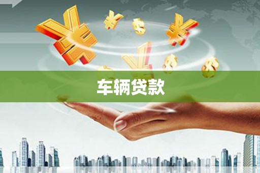 盐津车辆贷款