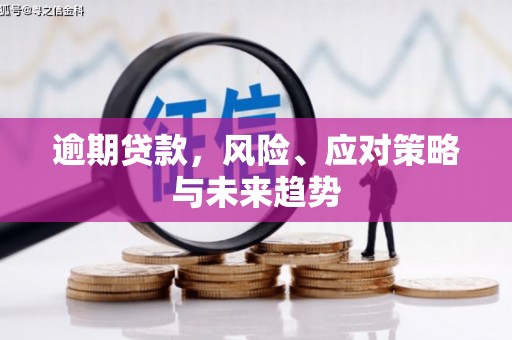 盐津逾期贷款，风险、应对策略与未来趋势