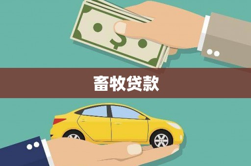 盐津畜牧贷款