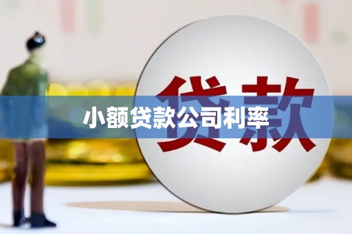 盐津小额贷款公司利率
