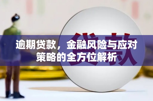 盐津逾期贷款，金融风险与应对策略的全方位解析