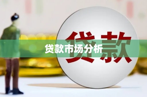 盐津贷款市场分析
