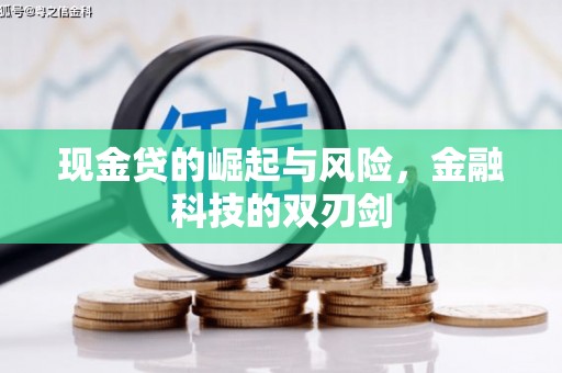 盐津现金贷的崛起与风险，金融科技的双刃剑