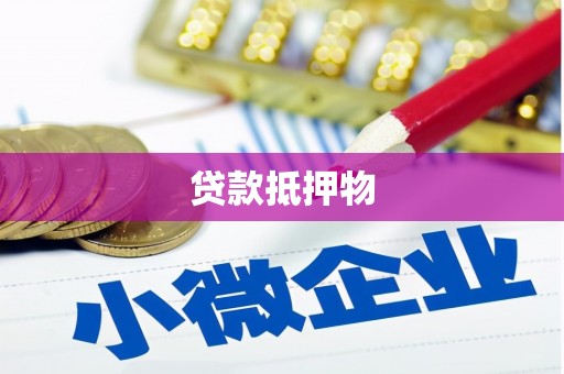盐津贷款抵押物