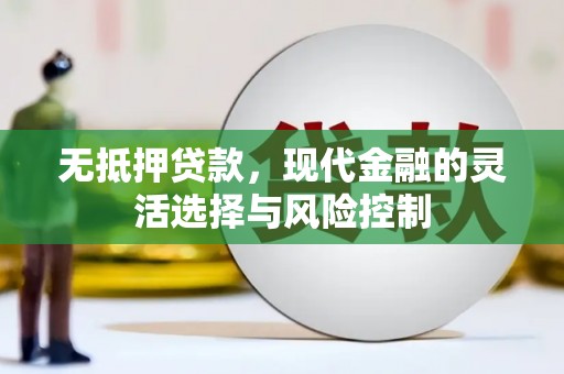 盐津无抵押贷款，现代金融的灵活选择与风险控制