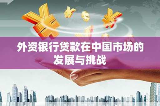盐津外资银行贷款在中国市场的发展与挑战