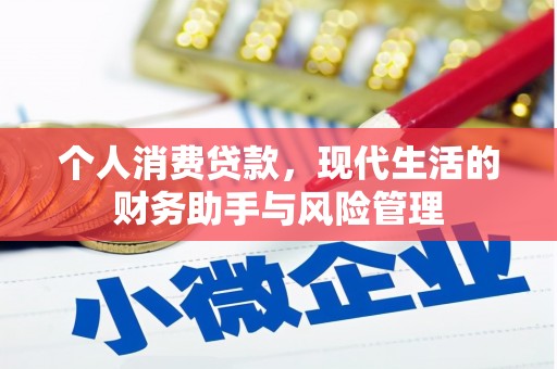 盐津个人消费贷款，现代生活的财务助手与风险管理