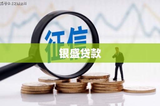 盐津银盛贷款