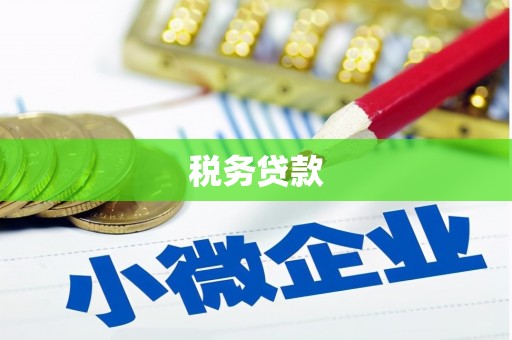 盐津税务贷款