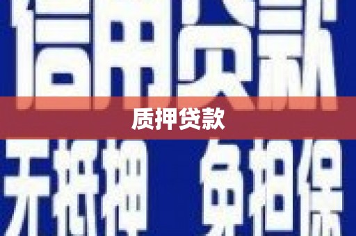 盐津质押贷款