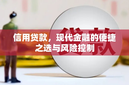 盐津信用贷款，现代金融的便捷之选与风险控制