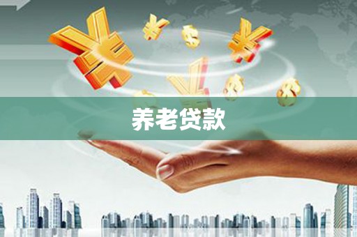 盐津养老贷款