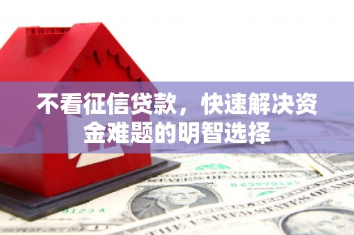 盐津不看征信贷款，快速解决资金难题的明智选择