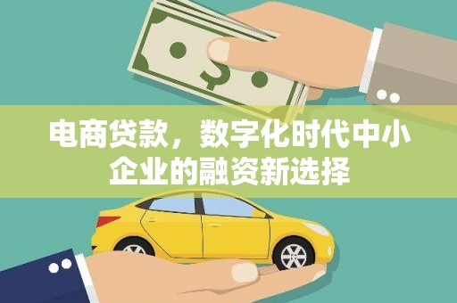 盐津电商贷款，数字化时代中小企业的融资新选择