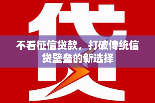 盐津不看征信贷款，打破传统信贷壁垒的新选择