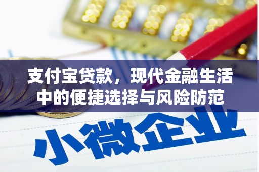 盐津支付宝贷款，现代金融生活中的便捷选择与风险防范