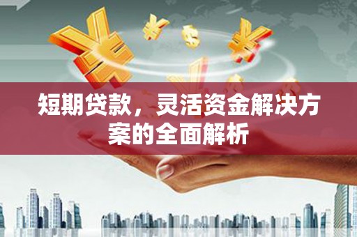 盐津短期贷款，灵活资金解决方案的全面解析