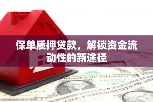 盐津保单质押贷款，解锁资金流动性的新途径