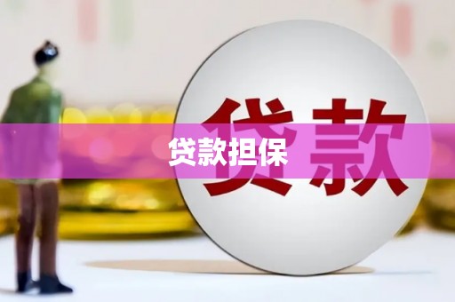 盐津贷款担保