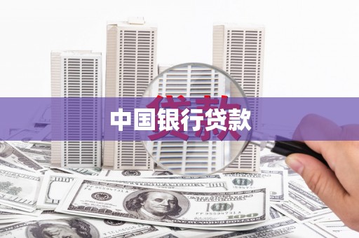 盐津中国银行贷款