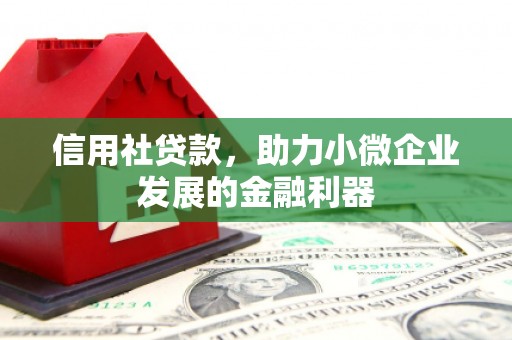 盐津信用社贷款，助力小微企业发展的金融利器