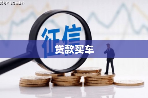 盐津贷款买车