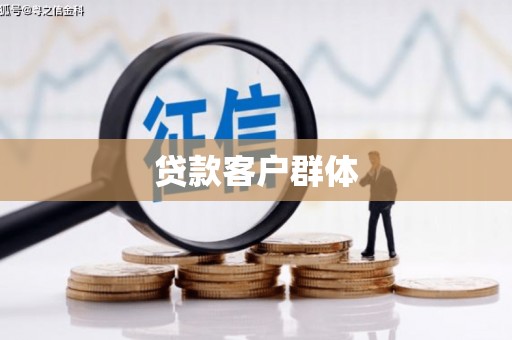 盐津贷款客户群体