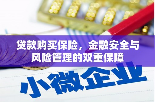 盐津贷款购买保险，金融安全与风险管理的双重保障