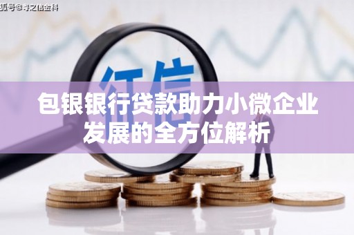 盐津包银银行贷款助力小微企业发展的全方位解析