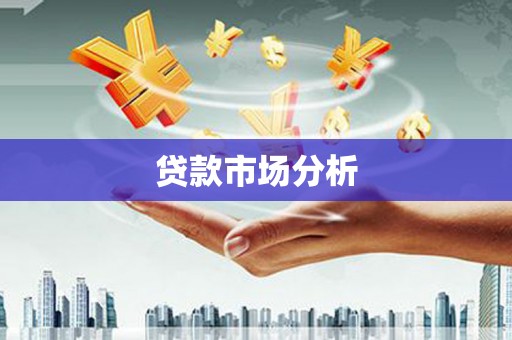 盐津贷款市场分析