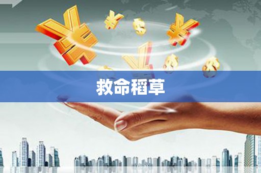 盐津救命稻草