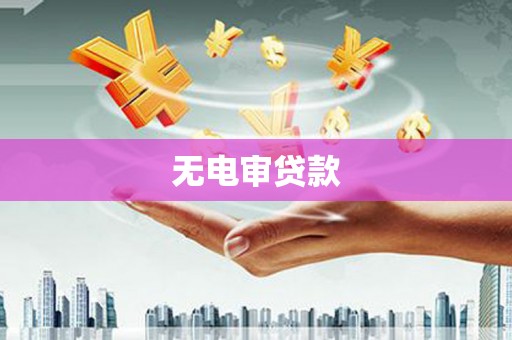 盐津无电审贷款