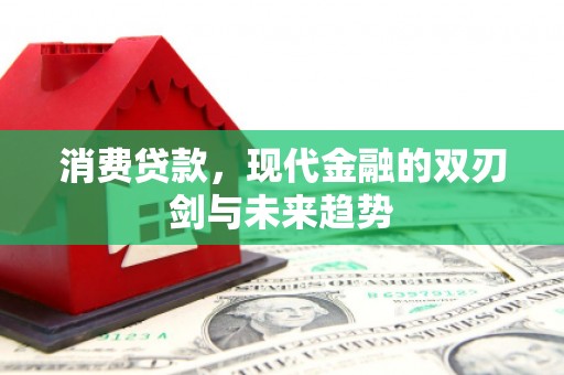 盐津消费贷款，现代金融的双刃剑与未来趋势