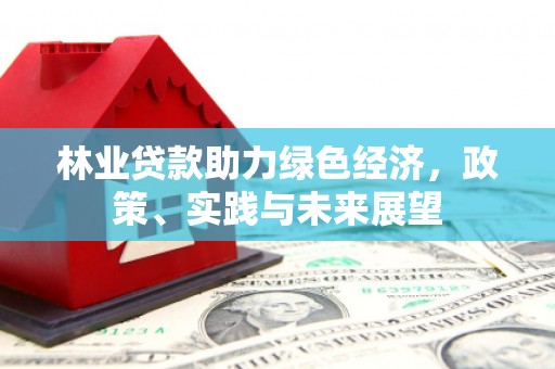 盐津林业贷款助力绿色经济，政策、实践与未来展望