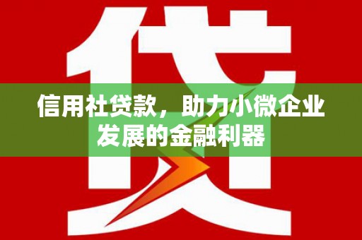 盐津信用社贷款，助力小微企业发展的金融利器