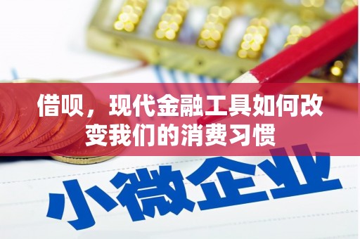 盐津借呗，现代金融工具如何改变我们的消费习惯