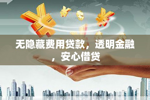 盐津无隐藏费用贷款，透明金融，安心借贷