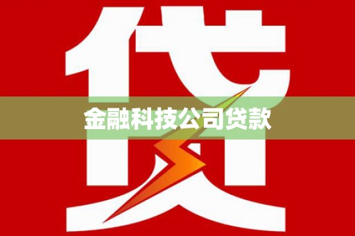 盐津金融科技公司贷款
