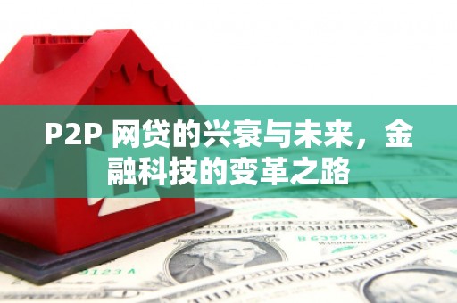 盐津P2P 网贷的兴衰与未来，金融科技的变革之路