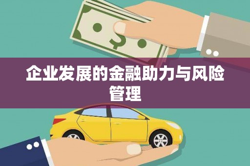 盐津企业发展的金融助力与风险管理