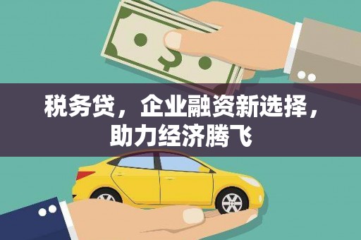 盐津税务贷，企业融资新选择，助力经济腾飞