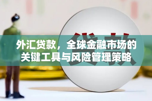 盐津外汇贷款，全球金融市场的关键工具与风险管理策略