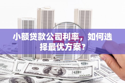 盐津小额贷款公司利率，如何选择最优方案？